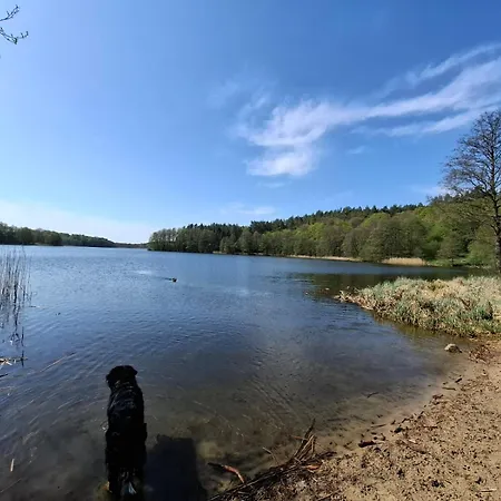 Na Kociewiu Pati Feriehus Skarszewy