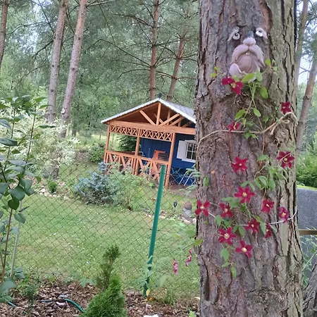 Na Kociewiu Pati Feriehus *