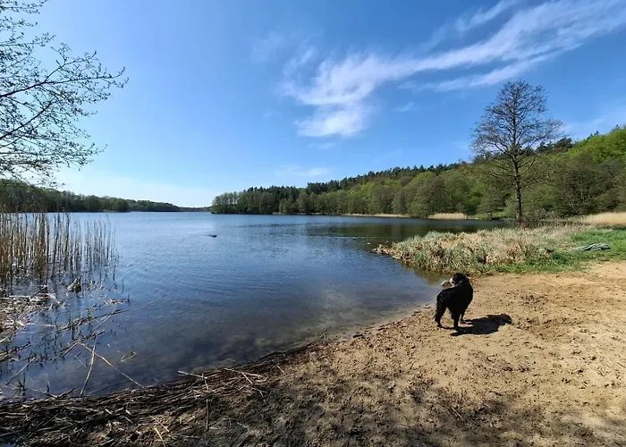 Prázdninový dům Na Kociewiu Pati