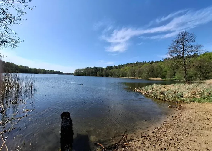 Na Kociewiu Pati Prázdninový dům Skarszewy